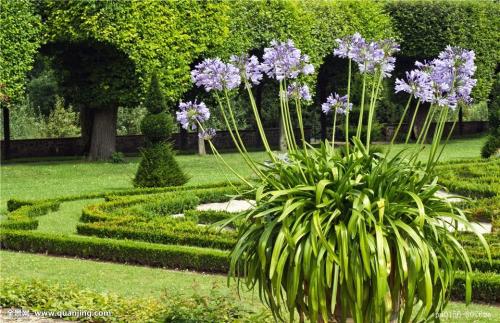 㽭:ɧŵ绰ռ 110ܽӾĳΪЧ