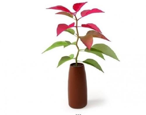 克罗地亚首都附近发生6.4级地震 尚无伤亡报告