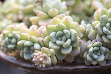 «ɽ Ͷ324.4ýͨĿǩԼ