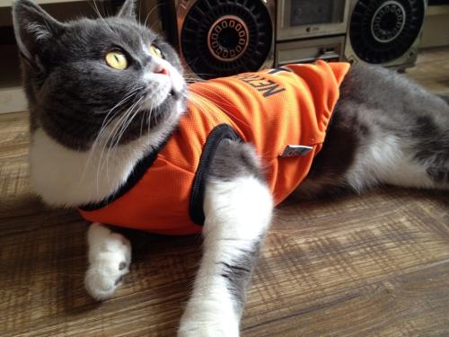 ÉÌÎñ²¿¸±²¿³¤Û³¶«»á¼ûº«¹úóÒ×лá»á³¤ÒüÕòÖ²